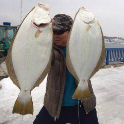 シーランチ 釣果