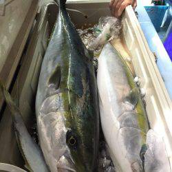 第二八坂丸 釣果