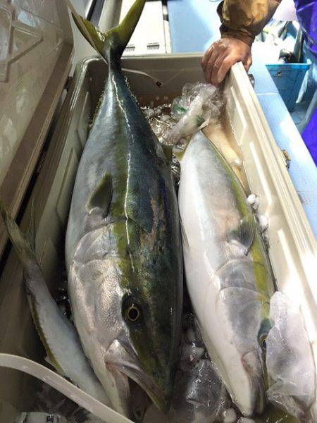 第二八坂丸 釣果