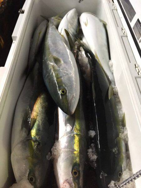 第二八坂丸 釣果