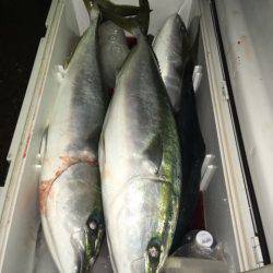 第二八坂丸 釣果