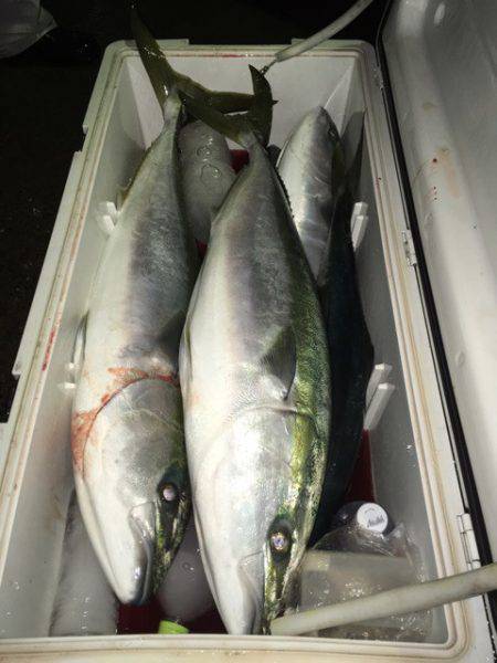 第二八坂丸 釣果