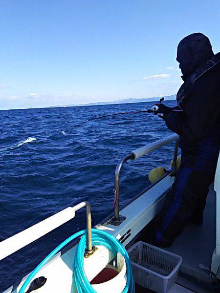 光生丸 釣果