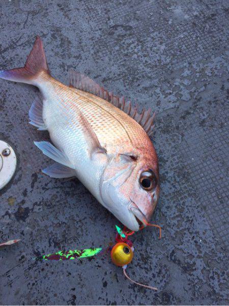 第二 海洋丸 釣果