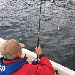 「LaGooN」蒼陽丸 日和号　 釣果