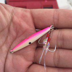 「LaGooN」蒼陽丸 日和号　 釣果