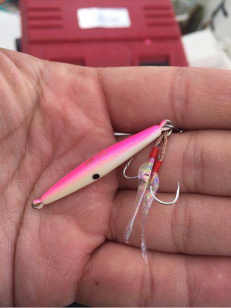 「LaGooN」蒼陽丸 日和号　 釣果