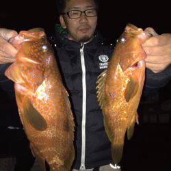 龍神丸(鹿児島) 釣果