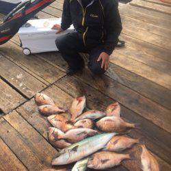 釣り堀水宝 釣果