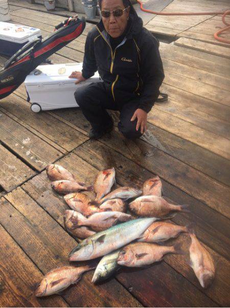 釣り堀水宝 釣果