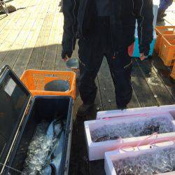 釣り堀水宝 釣果