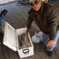 釣り堀水宝 釣果