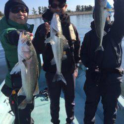 アマテラス 釣果