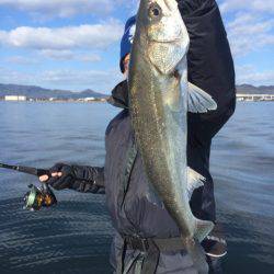 アマテラス 釣果