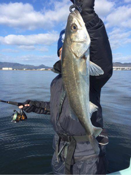 アマテラス 釣果