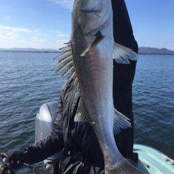 アマテラス 釣果