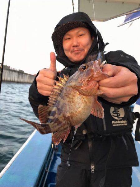 ヤザワ渡船 釣果