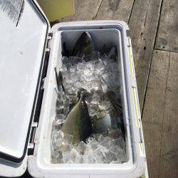 釣り堀水宝 釣果