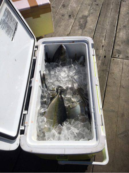 釣り堀水宝 釣果