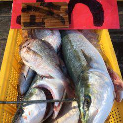 釣り堀水宝 釣果