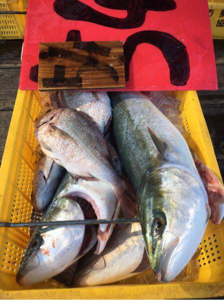 釣り堀水宝 釣果