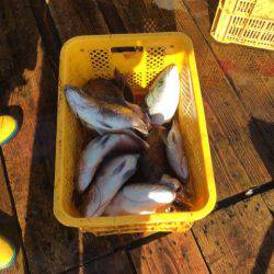 釣り堀水宝 釣果