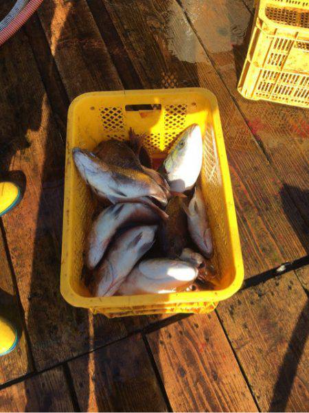 釣り堀水宝 釣果