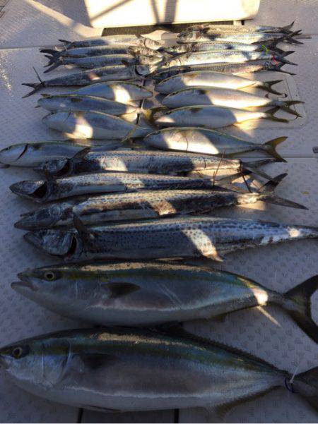 ビッグファイター 釣果