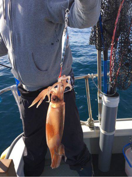 さくら丸 釣果