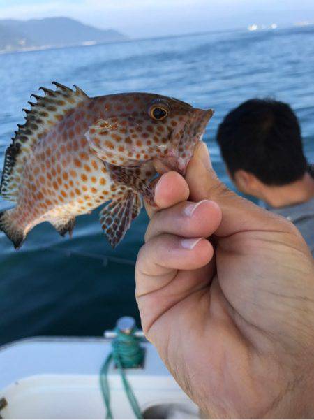 龍神丸(鹿児島) 釣果