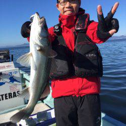 アマテラス 釣果