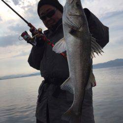 アマテラス 釣果