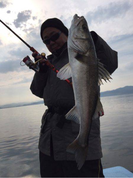 アマテラス 釣果