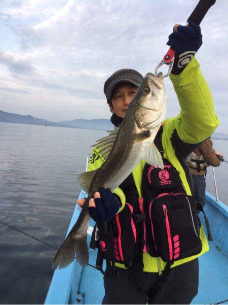 アマテラス 釣果