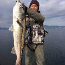 アマテラス 釣果