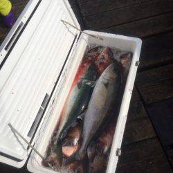 釣り堀水宝 釣果