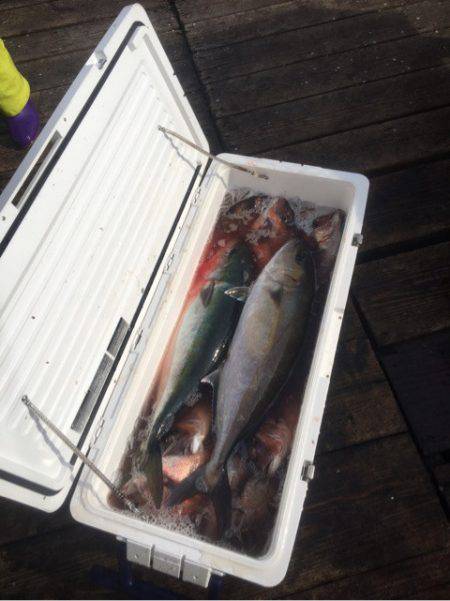 釣り堀水宝 釣果