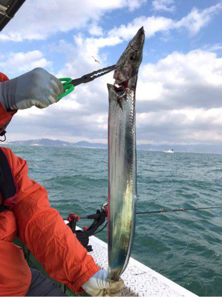 ヤザワ渡船 釣果