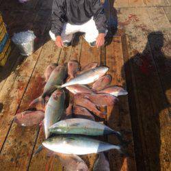 釣り堀水宝 釣果