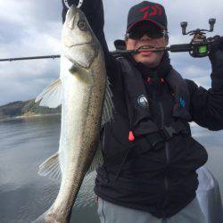 アマテラス 釣果