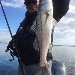 アマテラス 釣果