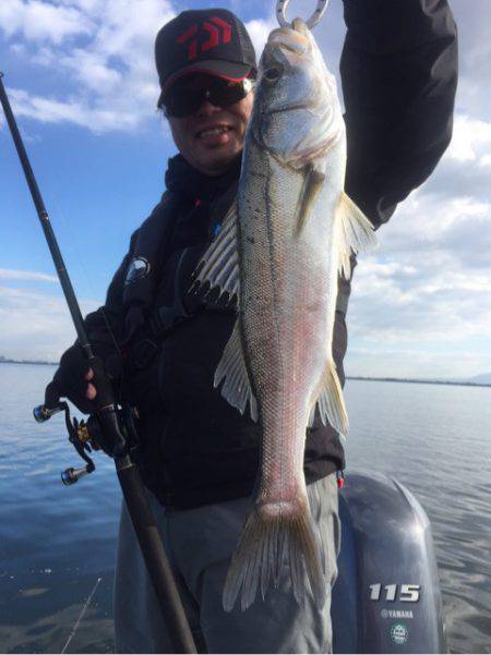 アマテラス 釣果