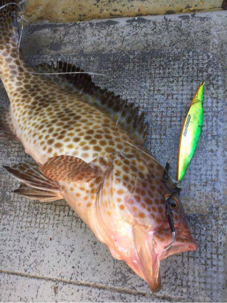 第二 海洋丸 釣果