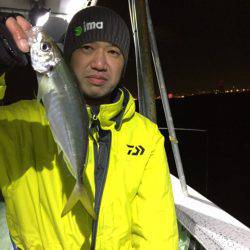 ヤザワ渡船 釣果