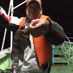 ヤザワ渡船 釣果