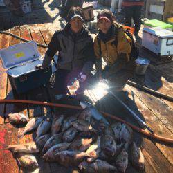 釣り堀水宝 釣果