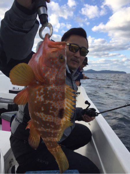 「LaGooN」蒼陽丸 日和号 釣果