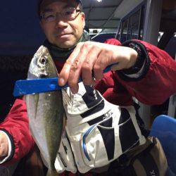 ヤザワ渡船 釣果