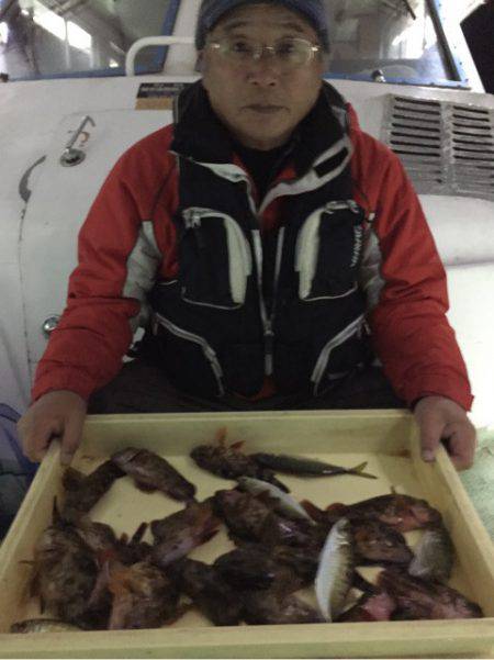 ヤザワ渡船 釣果