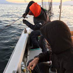 龍神丸(鹿児島) 釣果